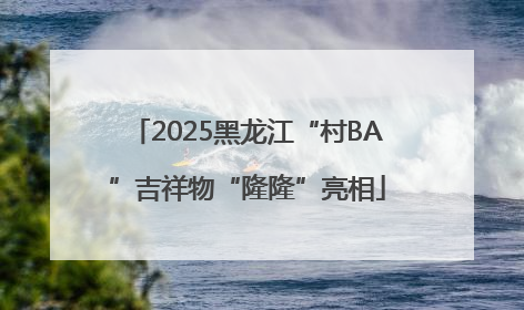 2025黑龙江“村BA”吉祥物“隆隆”亮相