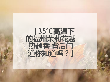 35℃高温下的福州茉莉花越热越香 背后门道你知道吗？