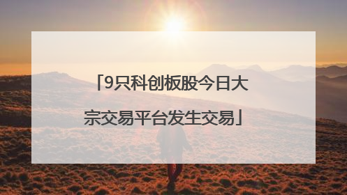 9只科创板股今日大宗交易平台发生交易