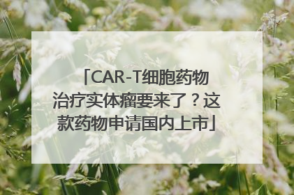 CAR-T细胞药物治疗实体瘤要来了？这款药物申请国内上市