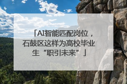 AI智能匹配岗位，石鼓区这样为高校毕业生“职引未来”