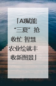 AI赋能“三夏”抢收忙 智慧农业绘就丰收新图景