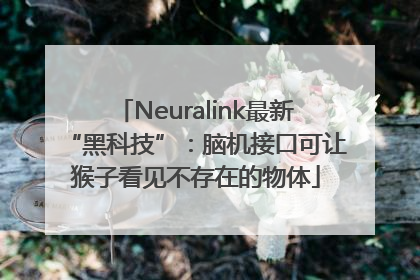 Neuralink最新“黑科技”：脑机接口可让猴子看见不存在的物体